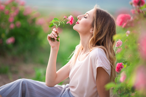Découvrez le jardin des roses en Suisse